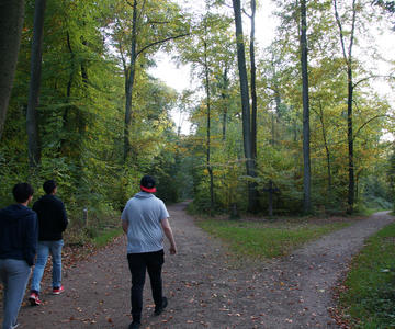 Aachen forest